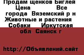 Продам щенков Биглей › Цена ­ 15 000 - Все города, Вяземский р-н Животные и растения » Собаки   . Иркутская обл.,Саянск г.